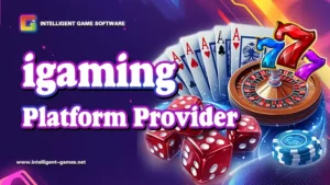 igaming platform providers